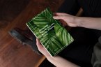 Autocuidado Esencial: Guía para Manejar el Estrés Diario (eBook, ePUB)