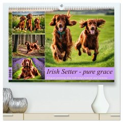 Cover Irish Setter - pure grace (High Quality Premium Wall Calendar 2026 DIN A2 landscape),CALVENDO 12 Month Wall Calendar