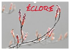 ÉCLORE (Calendrier mural 2026 DIN A3 vertical), CALVENDO calendrier mensuel ÉCLORE (Calendrier mural 2026 DIN A3 vertical), CALVENDO calendrier mensuel