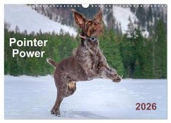 Pointer Power (Wall Calendar 2026 DIN A3 landscape), CALVENDO 12 Month Wall Calendar