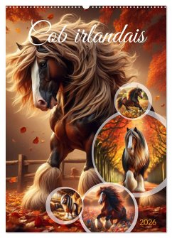 Cob irlandais (Calendrier mural 2026 DIN A2 horizontal), CALVENDO calendrier mensuel Cob irlandais (Calendrier mural 2026 DIN A2 horizontal), CALVENDO calendrier mensuel