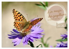 Cover LA MAGIE DES PAPILLONS (Calendrier de bureau 2026 DIN A5 vertical), CALVENDO calendrier mensuel
