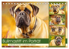 Bullmastiff im Porträt. Kraftvolle Hunde mit sanftem Wesen (Tischkalender 2026 DIN A5 quer), CALVENDO Monatskalender Bullmastiff im Porträt. Kraftvolle Hunde mit sanftem Wesen (Tischkalender 2026 DIN A5 quer), CALVENDO Monatskalender