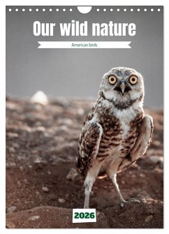 Our wild nature, American birds (Wall Calendar 2026 DIN A4 portrait), CALVENDO 12 Month Wall Calendar Our wild nature, American birds (Wall Calendar 2026 DIN A4 portrait), CALVENDO 12 Month Wall Calendar