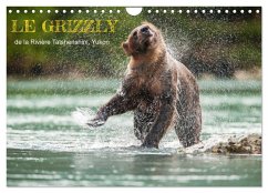 Cover LE GRIZZLY de la Rivière Tatshenshini. Yukon (Calendrier mural 2026 DIN A4 vertical), CALVENDO calendrier mensuel