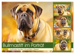 Bullmastiff im Porträt. Kraftvolle Hunde mit sanftem Wesen (Wandkalender 2026 DIN A2 quer), CALVENDO Monatskalender Bullmastiff im Porträt. Kraftvolle Hunde mit sanftem Wesen (Wandkalender 2026 DIN A2 quer), CALVENDO Monatskalender