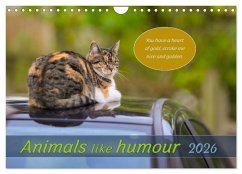 Animals like humour (Wall Calendar 2026 DIN A4 landscape), CALVENDO 12 Month Wall Calendar Animals like humour (Wall Calendar 2026 DIN A4 landscape), CALVENDO 12 Month Wall Calendar