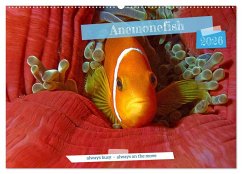 Cover Anemonefish - always busy - always on the move (Wall Calendar 2026 DIN A2 landscape), CALVENDO 12 Month Wall Calendar