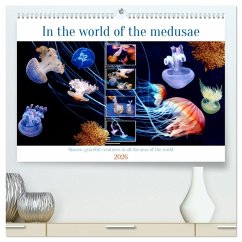 Cover In the world of the medusae (High Quality Premium Wall Calendar 2026 DIN A2 landscape),CALVENDO 12 Month Wall Calendar