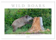 Cover Wild Boars (Wall Calendar 2026 DIN A3 landscape), CALVENDO 12 Month Wall Calendar