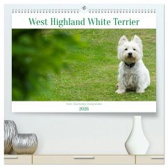 West Highland White Terrier - Your charming companion (High Quality Premium Wall Calendar 2026 DIN A2 landscape),CALVENDO 12 Month Wall Calendar West Highland White Terrier - Your charming companion (High Quality Premium Wall Calendar 2026 DIN A2 landscape),CALVENDO 12 Month Wall Calendar