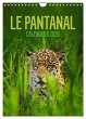 Le Pantanal (Calendrier mural 2026 DIN... - Bild 1