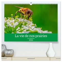 La vie de nos prairie, les ombellifères (Calendrier mural 2026 DIN A2 vertical) calendrier de bureau