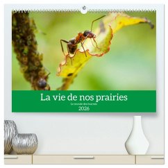 La vie de nos prairies - Le monde des fourmis (Calendrier mural 2026 DIN A2 vertical) calendrier de bureau
