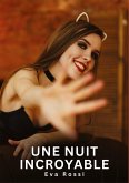 Une nuit incroyable Une nuit incroyable