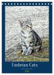 Umbrian Cats (Desk Calendar 2026 DIN A5... - Bild 1