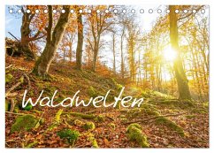 Cover Waldwelten (Tischkalender 2026 DIN A5 quer), CALVENDO Monatskalender