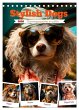 Stylish Dogs (Desk Calendar 2026 DIN A5... - Bild 1