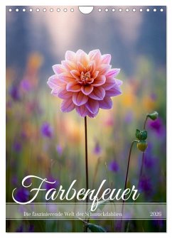 Farbenfeuer (Wandkalender 2026 DIN A4 hoch), CALVENDO Monatskalender Farbenfeuer (Wandkalender 2026 DIN A4 hoch), CALVENDO Monatskalender