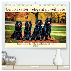 Cover Gordon Setter - elegant powerhouse (High Quality Premium Wall Calendar 2026 DIN A2 landscape),CALVENDO 12 Month Wall Calendar