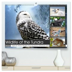 Cover Wildlife of the Tundra (High Quality Premium Wall Calendar 2026 DIN A2 landscape),CALVENDO 12 Month Wall Calendar