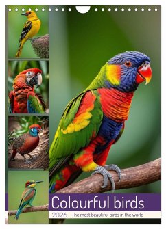 Cover Colourful birds (Wall Calendar 2026 DIN A4 portrait), CALVENDO 12 Month Wall Calendar
