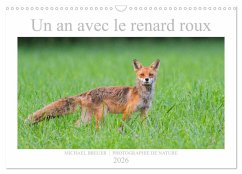 Cover Un an avec le renard roux (Calendrier mural 2026 DIN A3 vertical), CALVENDO calendrier mensuel