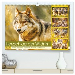 Herzschlag der Wildnis. Wölfe zwischen Legende, Freiheit und Anmut (hochwertiger Premium Wandkalender 2026 DIN A2 quer), Kunstdruck in Hochglanz