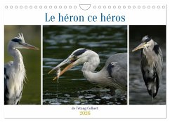 Cover Le héron ce héros de l'étang Colbert (Calendrier mural 2026 DIN A4 vertical), CALVENDO calendrier mensuel