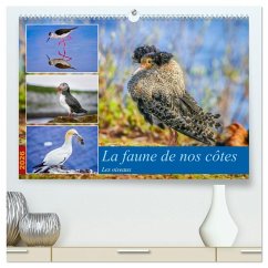 La faune de nos côtes les oiseaux (Calendrier mural 2026 DIN A2 vertical) calendrier de bureau La faune de nos côtes les oiseaux (Calendrier mural 2026 DIN A2 vertical) calendrier de bureau