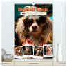 Stylish Dogs (High Quality Premium Wall... - Bild 1