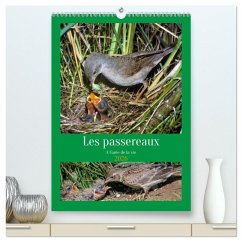 Les passereaux à l'orée de la vie (Calendrier mural 2026 DIN A2 horizontal) calendrier de bureau Les passereaux à l'orée de la vie (Calendrier mural 2026 DIN A2 horizontal) calendrier de bureau