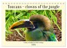 Toucans - clowns of the jungle (Desk... - Bild 1