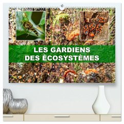 Cover Les gardiens des écosystèmes (Calendrier mural 2026 DIN A2 vertical) calendrier de bureau