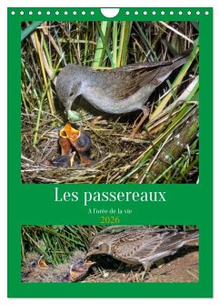 Les passereaux à l'orée de la vie (Calendrier mural 2026 DIN A4 horizontal), CALVENDO calendrier mensuel Les passereaux à l'orée de la vie (Calendrier mural 2026 DIN A4 horizontal), CALVENDO calendrier mensuel