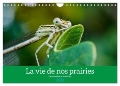 La vie de nos prairies - Demoiselles et libellules (Calendrier mural 2026 DIN A4 vertical), CALVENDO calendrier mensuel La vie de nos prairies - Demoiselles et libellules (Calendrier mural 2026 DIN A4 vertical), CALVENDO calendrier mensuel