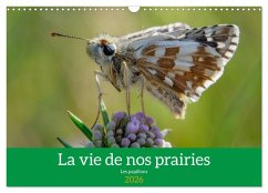 La vie de nos prairie, les papillons (Calendrier mural 2026 DIN A3 vertical), CALVENDO calendrier mensuel La vie de nos prairie, les papillons (Calendrier mural 2026 DIN A3 vertical), CALVENDO calendrier mensuel