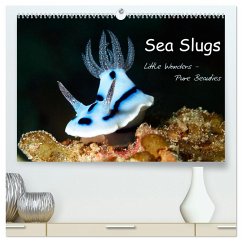 Cover Sea Slugs - Little Wonders - Pure Beauties (High Quality Premium Wall Calendar 2026 DIN A2 landscape),CALVENDO 12 Month Wall Calendar