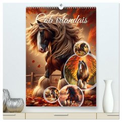 Cob irlandais (Calendrier mural 2026 DIN A2 horizontal) calendrier de bureau