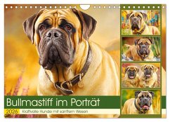 Bullmastiff im Porträt. Kraftvolle Hunde mit sanftem Wesen (Wandkalender 2026 DIN A4 quer), CALVENDO Monatskalender Bullmastiff im Porträt. Kraftvolle Hunde mit sanftem Wesen (Wandkalender 2026 DIN A4 quer), CALVENDO Monatskalender