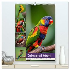 Cover Colourful birds (High Quality Premium Wall Calendar 2026 DIN A2 portrait),CALVENDO 12 Month Wall Calendar