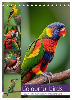 Cover Colourful birds (Desk Calendar 2026 DIN A5 portrait), CALVENDO 12 Month DeskCalendar