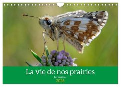 La vie de nos prairie, les papillons (Calendrier mural 2026 DIN A4 vertical), CALVENDO calendrier mensuel La vie de nos prairie, les papillons (Calendrier mural 2026 DIN A4 vertical), CALVENDO calendrier mensuel
