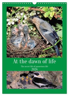 At the dawn of life the secret life of passerines (Wall Calendar 2026 DIN A3 portrait), CALVENDO 12 Month Wall Calendar