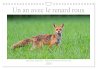 Un an avec le renard roux (Calendrier... - Bild 1