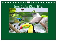 Some Costa Rican Birds (Wall Calendar 2026 DIN A4 landscape), CALVENDO 12 Month Wall Calendar