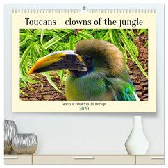 Cover Toucans - clowns of the jungle (High Quality Premium Wall Calendar 2026 DIN A2 landscape),CALVENDO 12 Month Wall Calendar