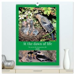 At the dawn of life the secret life of passerines (High Quality Premium Wall Calendar 2026 DIN A2 portrait),CALVENDO 12 Month Wall Calendar