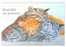 Beautiful cat portraits (Wall Calendar... - Bild 1