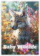 Baby Wildlife (Wall Calendar 2026 DIN... - Bild 1